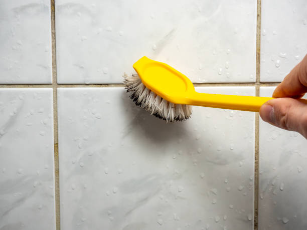 Best Post-Remediation Services in Canyon Lake, TX