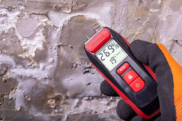 Best Residential Mold Remediation in Canyon Lake, TX