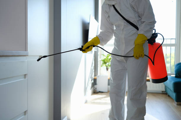 Best Mold Remediation for Specific Building Types in Canyon Lake, TX